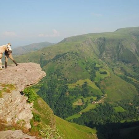 Gite Individuel Au Pays Basque A 1,5Km De St-Jean-Pied-De-Port Сен-Жан-Пье-де-Пор Экстерьер фото