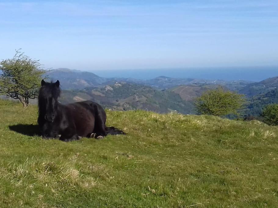Gite Individuel Au Pays Basque A 1,5Km De St-Jean-Pied-De-Port Сен-Жан-Пье-де-Пор Экстерьер фото